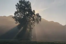 杭州西湖出现丁达尔效应_ 太美啦