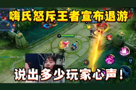嗨氏怒斥王者宣布退游！原因太真实，说出了多少玩家的心声