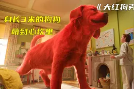 身长3米的大红狗，超级可爱，萌到不行！视频封面
