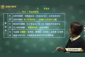 临床女性生殖系统解刨05骨盆底的组成，会阴的位置、组成及特点视频封面