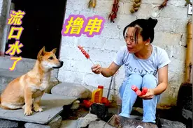 大姐在院子里做烧烤，把狗狗馋到流口水，小狗居然会撸串了视频封面