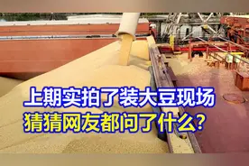 巨轮装6万多吨大豆回国，如何防止霉烂生虫?如何计重?一起来看看