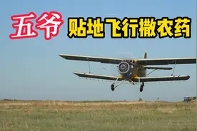 飞行视角-看运5“五爷”贴地飞行撒农药视频封面