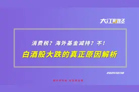 今天白酒股集体大跌的真实原因是什么？视频封面