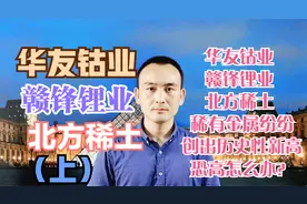 华友钴业 赣锋锂业 北方稀土 稀有金属纷创历史新高 恐高怎么办？视频封面