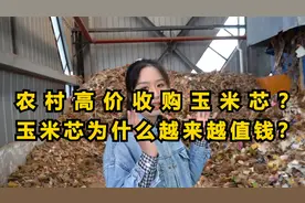 收购玉米芯一年能赚30多万？看到最后我才恍然大悟视频封面