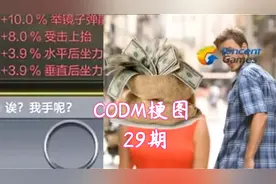 使命召唤手游：只有CODM玩家才懂的梗图第29期