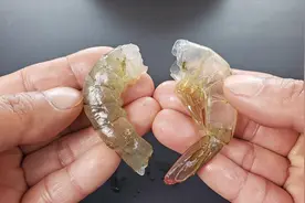 原来剥虾壳这么简单，学会这个小技巧，虾仁轻松取出，又快又完整视频封面