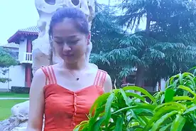 一首《我不难过》勾起多少人的记忆，有多少人听过，好听极了！