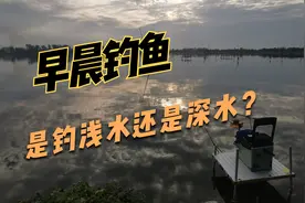 夏季早晨出钓，是选择深水区还是浅水区，看完这个经过就明白了视频封面