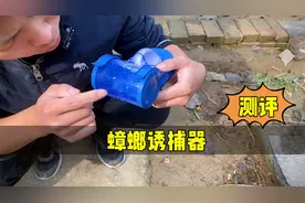 开箱测评，拼多多100000销量的蟑螂诱捕器，实测看看能逮多少？