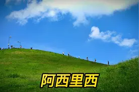 阿西里西韭菜坪，海拔2777米的山顶八九月份开满了紫色的野韭菜花视频封面