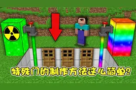 我的世界：神奇的特殊门全都是这样制造的？视频封面