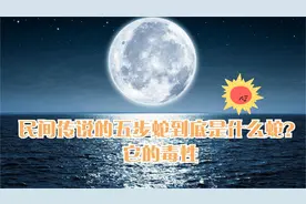 深山惊现巨型五步蛇！五步蛇毒性有多强大？被咬后真的走不出5步视频封面