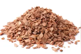 纸真的是木头做的吗？实拍现代造纸流水线生产过程，疑惑解除了！视频封面