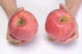 苹果好不好，看这里就知道了，学会这个技巧，挑的苹果又甜又好吃