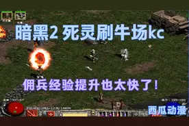 暗黑2，死灵法师刷牛场kc，看佣兵经验涨得有多快~！