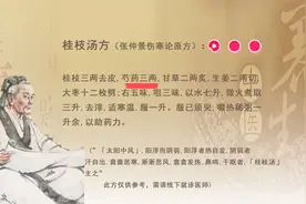 《伤寒论》-桂枝汤方之芍药-《神农本草经》-倪海厦老师讲中医视频封面