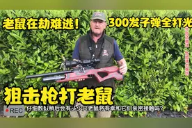 狙击手打老鼠，狩猎时刻到了！一枪一只小老鼠，真过瘾！视频封面