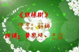 致橡树——并非仅仅一首爱情诗。听起来有种诗比歌还好听的感觉！视频封面