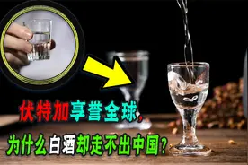 都是蒸馏酒，为什么伏特加火遍全球，白酒却只有中国人喝？视频封面