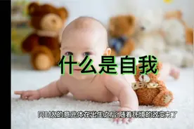 什么是自我（不只是人的生命活动的表现同事又是体内变化的表现）