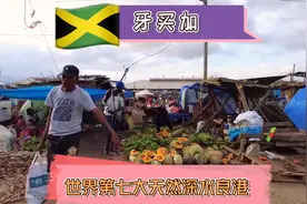 牙买加是中美洲加勒比海岛国。这里到外有丰满的水草，淙淙的泉水