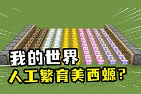 我的世界：美西螈成濒危生物？我用人工繁育进行物种延续，失败了