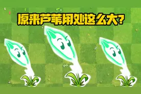 植物大战僵尸：关于闪电芦苇你都知道多少？原来芦苇用处这么大？视频封面
