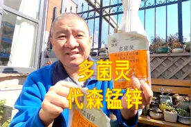 50%多菌灵和70%代森锰锌能不能混配？按什么比例才不会伤苗？视频封面