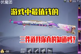 和平精英雪龙：游戏中最值钱的三件道具，你真的知道吗？视频封面