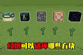 我的世界：MC新版本中的红树，可以破坏命令方块和基岩吗？