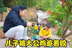 儿子被公鸡追着咬，爷爷立马要把它炖了，儿子的话让人哭笑不得视频封面