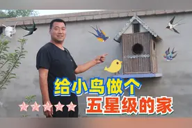 农村大叔自制庭院豪华鸟窝，鸟儿迫不及待的想入住啦！