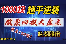 炒股之1000块钱买了盐湖股份，收益想不到。