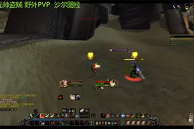 魔兽世界怀旧服58级元帅盗贼野外PVP-第二部