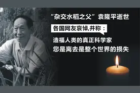 袁隆平逝世消息传到国外，外国网友哀悼并称：这是整个世界的损失视频封面