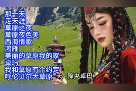 最美女中音降央卓玛歌曲精选10首联唱视频封面