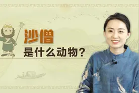 西游记中孙悟空是猴，猪八戒投胎为猪，沙僧原型是什么动物？视频封面