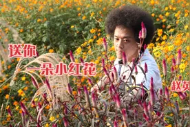 赵英俊《送你一朵小红花》，送你一朵小红花，开在昨天新长的枝桠视频封面