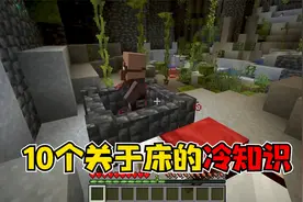 我的世界：10个关于床的冷知识，怪不得下界摸床会爆炸