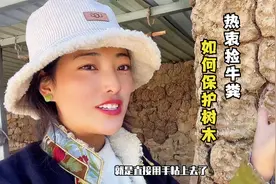 藏族朋友不怕脏，生活在西藏为何热衷用牛粪盖房？听卓玛解释原因
