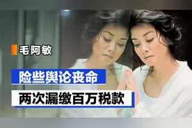 毛阿敏“红”是原罪？两次漏缴上百万税务，舆论风波险些丢掉性命