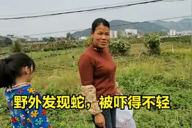 英姐带小孩到野外摘艾草，草丛里发现一条蛇，吓得不敢再摘了视频封面