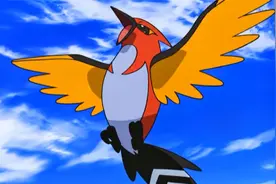 宝可梦xy：小箭雀进化了！一战斗就进化，小智的宝可梦很争气