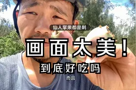 小伙摘仙人掌果手被扎废 自制摘果神器 吃的画面简直不要太美