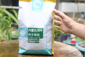 家庭养花种菜用什么有机肥？园艺师教你，用羊粪肥，花卉蔬菜通用视频封面