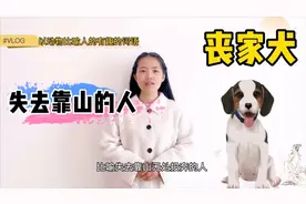 小学语文三字词语积累，以动物比喻人的有趣词语，涨知识了视频封面