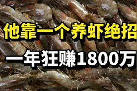 男子靠一个养虾绝招，让南美白对虾一斤卖到70元，一年狂赚1800万视频封面