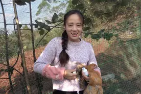 小妹给鸡治疗感冒，去年奶奶传授的这招很管用，今年再试试视频封面